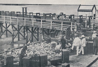 The Pearl Fishing Industry - Packing Shell, 1923. af Unbekannt