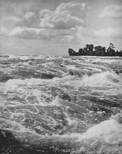 Rapids Above the American Fall, 1800-tallet af Unbekannt