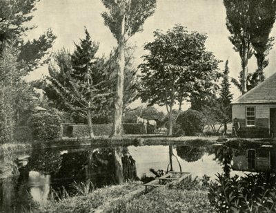 The Salmon Ponds, New Norfolk, 1901. af Unbekannt