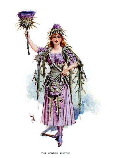 The Scotch Thistle, 1899 af Unbekannt