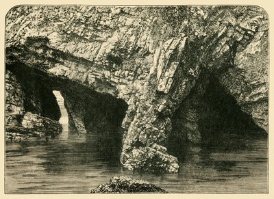 De syv buer, 1898. af Unbekannt