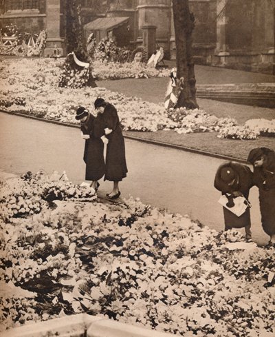 Kong George V
