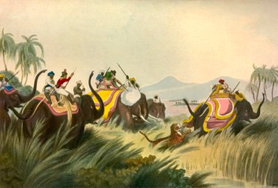 Tigerjagten, c1808, 1901. af Unbekannt
