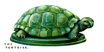 Skildpadden, 1923 af Unbekannt