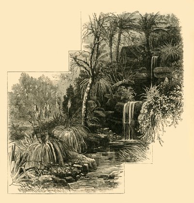 The Tropical Gardens, Battersea Park, c1878. af Unbekannt