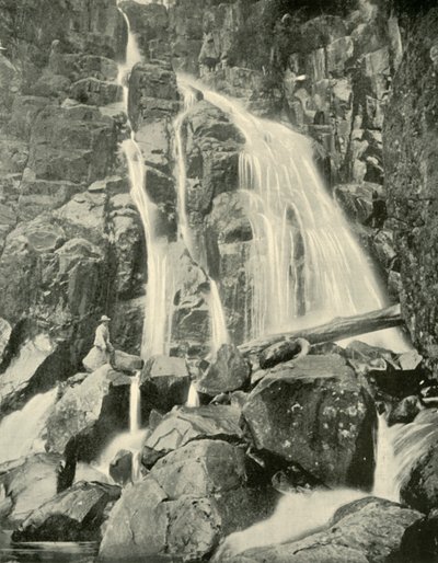 Wellington Falls, Mount Wellington, 1901. af Unbekannt