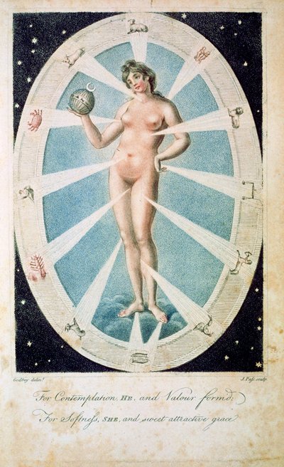 Den kvindelige form med astrologiske symboler, 1790 af Unbekannt