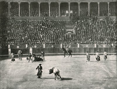 Tyrefægterarenaens indre, Madrid, Spanien, 1895. af Unbekannt
