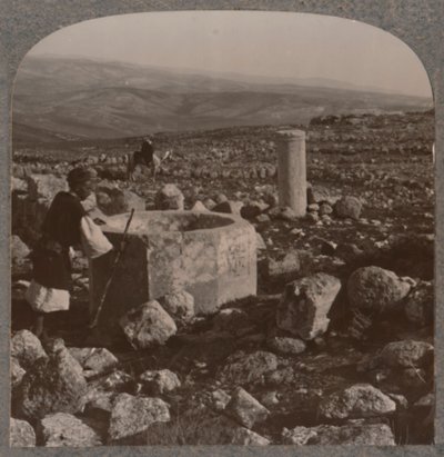 Ruinerne af Tekoa, c1900 af Unbekannt