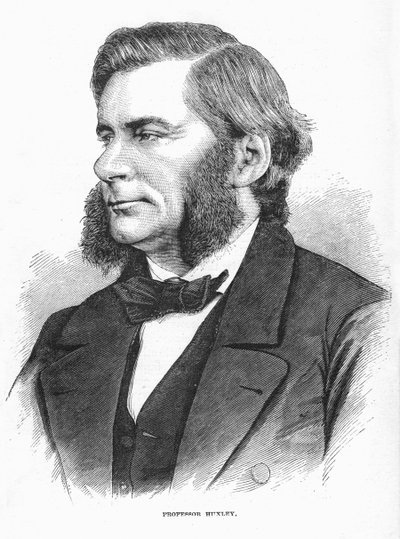 Thomas Henry Huxley, britisk biolog, c1860