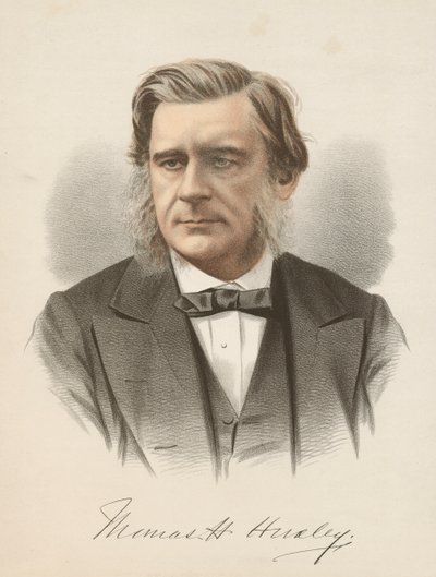 Thomas Henry Huxley, engelsk biolog, c1880 af Unbekannt