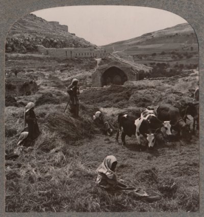 Tærskekorn nær Jacobs Brønd, ca. 1900 af Unbekannt