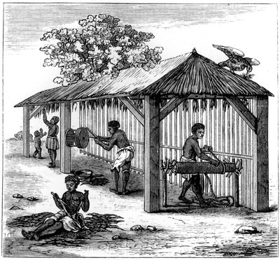Tobaksforberedelse, 1873 af Unbekannt