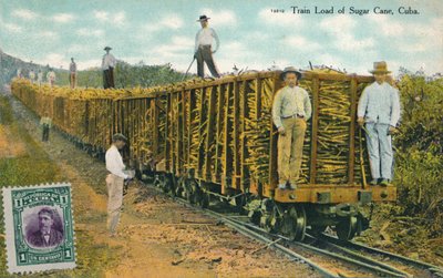 Toglast af sukkerrør, Cuba, 1911 af Unbekannt
