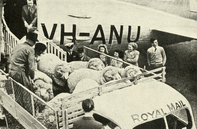 Transport af præmievæddere med luft, c1948. af Unbekannt