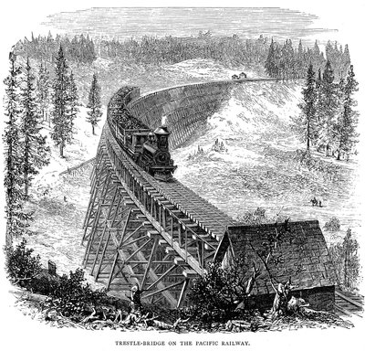 Trestle Bridge på Union Pacific Railroad, USA, 1876 af Unbekannt