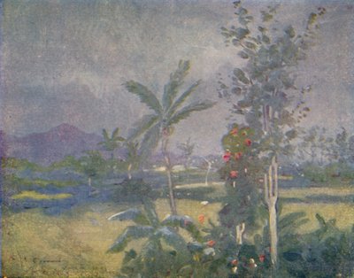 Tropisk regn i Vestindien, 1924 af Unbekannt