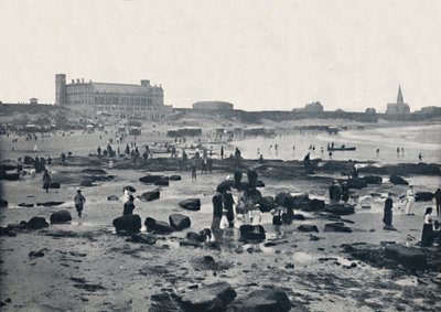 Tynemouth - The Aquarium and Sands, 1895 af Unbekannt