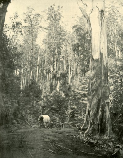 Onkel Sam, 1901. af Unbekannt