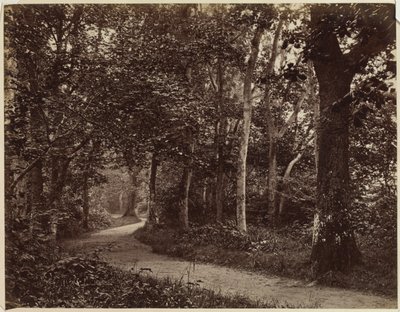 Uden titel Landskab, begyndelsen af 1860