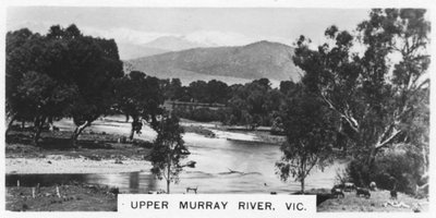 Oberer Murray River, Victoria, Australien von Unbekannt