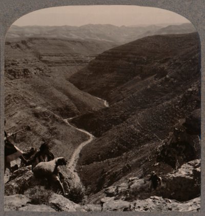 Arnodalen, hyrde og får i forgrunden, c1900 af Unbekannt