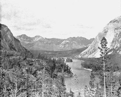 Valley of the Bow River, Alberta, Canada, c1900. af Unbekannt