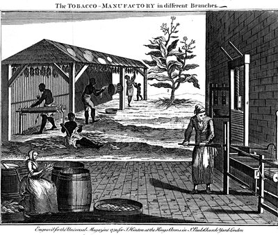 Forskellige stadier i produktionen af tobak, Virginia, USA, 1750 af Unbekannt