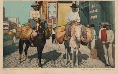 Grøntsagsmænd, Havana, Cuba, 1904 af Unbekannt