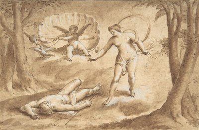 Venus opdager Adonis