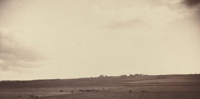 Udsigt over marker med køer, 1850