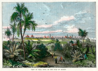 Udsigt over Vera Cruz, ved den Mexicanske Golf, Mexico, c1880 af Unbekannt