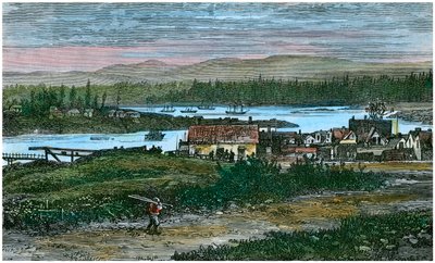 Udsigt over de vestlige forstæder til Victoria, Vancouver Island, British Columbia, Canada, c1880 af Unbekannt