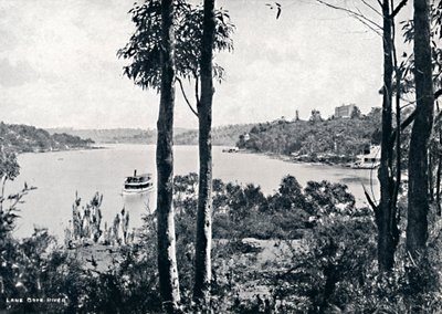 Udsigt over Lane Cove River, c1900. af Unbekannt