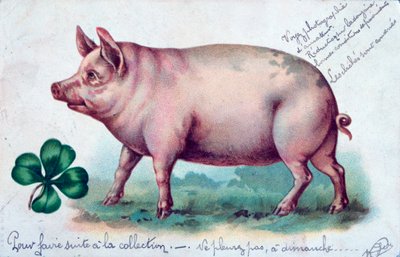 Vintage fransk postkort, c1900 af Unbekannt