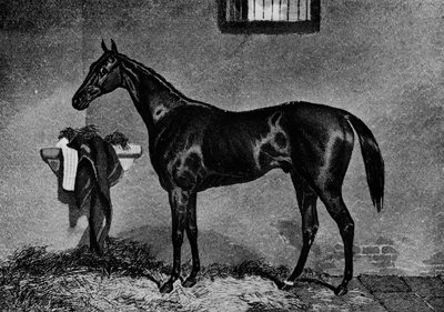 Voltigeur, 1847-1874, 1911 af Unbekannt