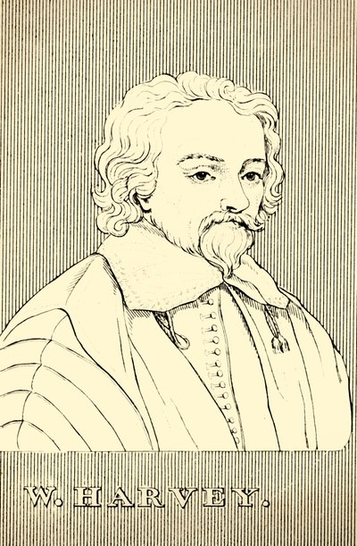 W. Harvey, 1578-1657, 1830. af Unbekannt