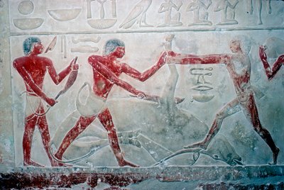 Vægmaleri af 3 slagtere, der skærer en slagtekrop op, Iduts grav, 5. dynasti, c2350 f.Kr. af Unbekannt