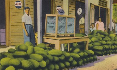 Vandmeloner til salg, Trinidad, B.W.I., c1940