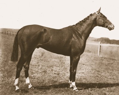 Weathercock, 1911. af Unbekannt