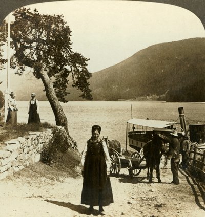 Når sødamperen anløber Tinoset-molen - udsigt over Tinsjo til bakkerne, Norge, c1905. af Unbekannt