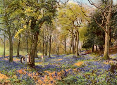 Vilde hyacinter i en Surrey Copse, 1906 af Unbekannt
