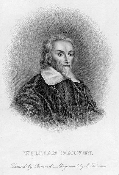 William Harvey 1578-1657 engelsk læge, c1600-tallet af Unbekannt