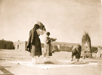 Vindhvede--San Juan 1905 (foto) af Unbekannt