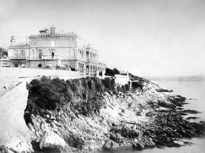 Vintervilla, c1882 af Unbekannt