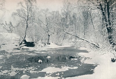 Vinterudsigt over Frilandsmuseet på Skansen, ca. 1900 af Unbekannt