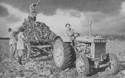 Womens Land Army løfter en afgrøde, Anden Verdenskrig, 1940 af Unbekannt