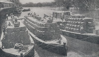 Uldpramme på Murray River, 1923. af Unbekannt