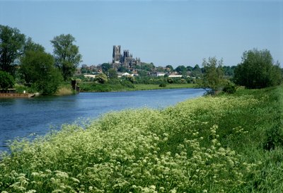 Ely-katedralen og floden Ouse af Unbekannt Unbekannt