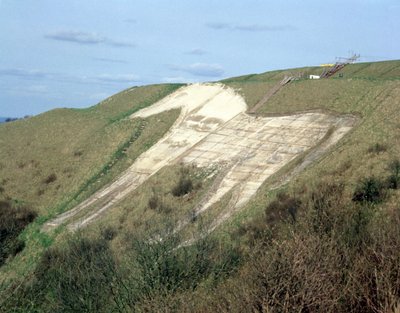 The Westbury White Horse af Unbekannt Unbekannt